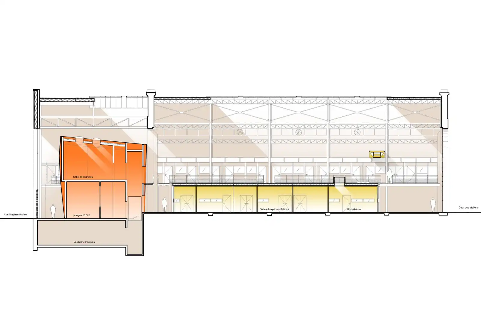 educational architect coupe longitudinale