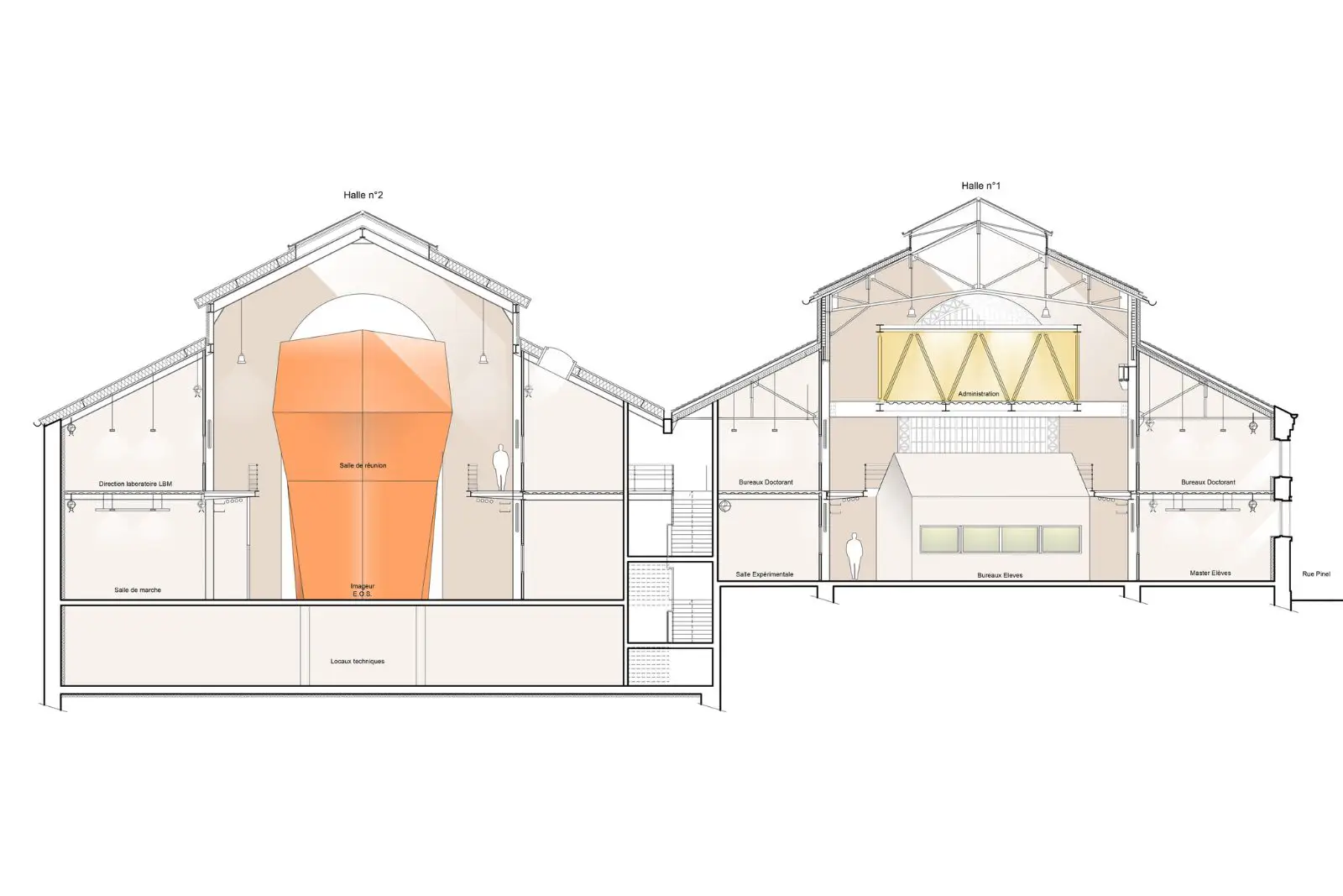 educational architect coupe transversale