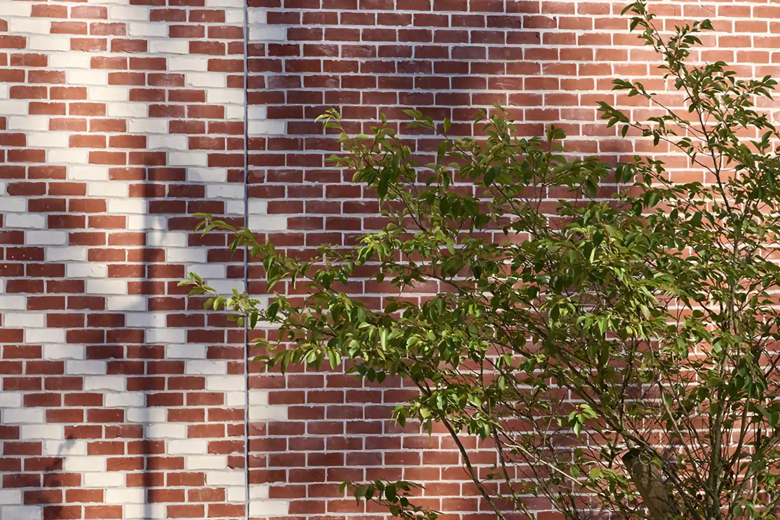 educational building design brique
