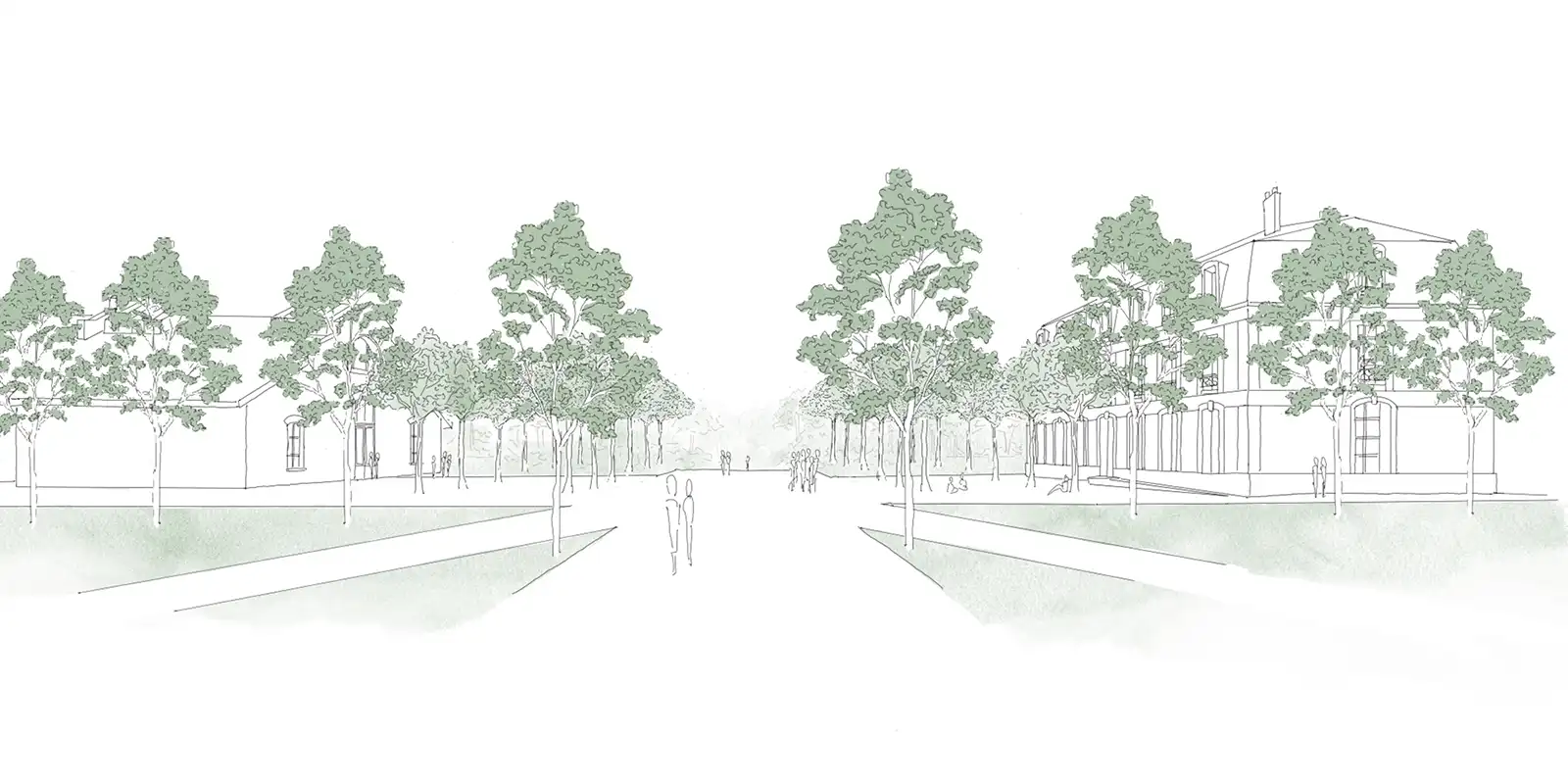 historic building conversion croquis arbres