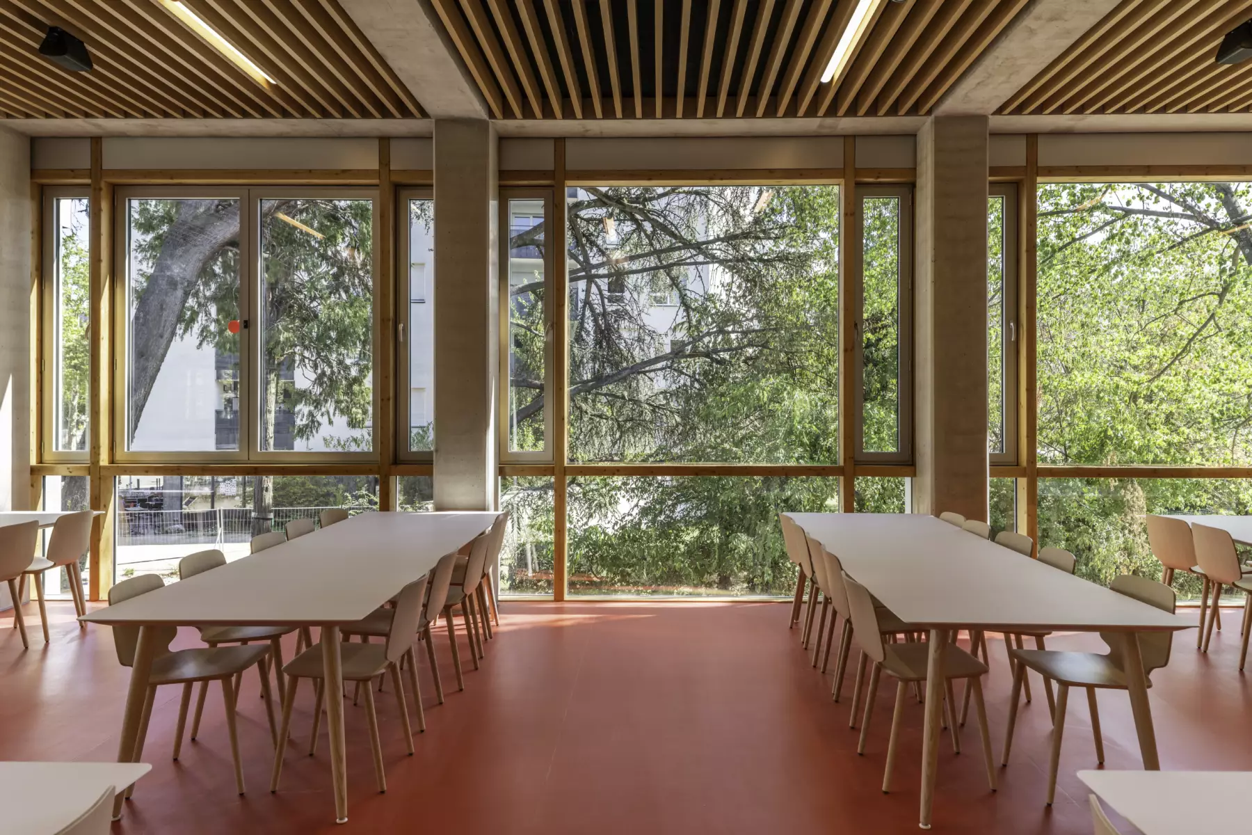 université lyon